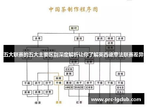 五大联赛的五大主要区别深度解析让你了解英西德意法联赛差异