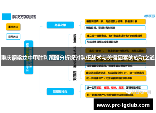 重庆铜梁龙中甲胜利策略分析探讨队伍战术与关键因素的成功之道