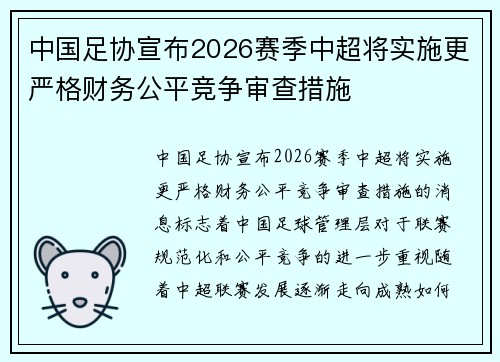 中国足协宣布2026赛季中超将实施更严格财务公平竞争审查措施